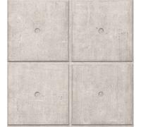 Rasch Factory V 499421 Papier peint intissé Industriel 10.05 x 0.53 m