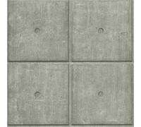 Rasch Factory V 499438 Papier peint intissé Industriel 10.05 x 0.53 m Gris Béton