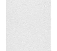 Rasch home style 823127 Papier peint texturé blanc, avec structure en plâtre, uni, 10,05 x 0,53 m (L x l)