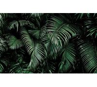 Rasch Magicwalls 363104 Papier peint photo non tissé avec feuilles de palmier vert et noir, 2,65 x 4,24 m (L x l)