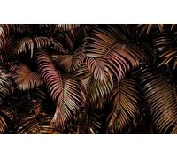 Rasch Magicwalls 363135 Papier peint photo non tissé avec feuilles de palmier rouge et noir, 2,65 x 4,24 m (L x l)
