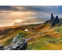 Rasch Magicwalls 862416 Papier peint photo non tissé avec vue sur paysage vert, gris et orange 2,65 x 3,71 m (L x l)