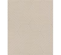 Rasch Papier peint 312522 - Papier peint intissé clair gris avec motif géométrique de lignes fines de la collection Deco Style