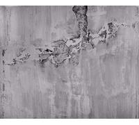 Rasch WTD 439908 Papier peint photo non tissé aspect béton Gris 2,60 m x 3,18 m