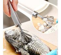 Rasoir à noix de coco en acier inoxydable, outil de cuisine pour fruits, écailles de peau de poisson, éplucheur