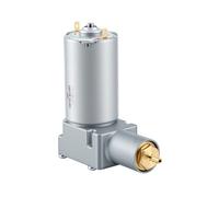 RASTKY Compresseur de Siège Pneumatique de Rechange pour Camions Actimo MSG, Tracteurs, Sièges à Suspension avec Support Réglable Automatiquement, Compatible avec Tube à Air de 6 Mm (12V)