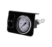 RASTKY Kit de Contrôle de Gonflage Simple, Raccord Rapide 1/4 Pouce 0 à 200 PSI Vanne à Palette avec Plaque en Acier allié, pour Suspension de Camion SUV