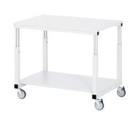 RAU Chariot à plateaux mélaminés Rau LxPxH 1000x700x650-1100mm Quantité:1