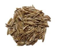 Ray-Grass Italien Bio - Lolium Multiflorum (Engrais Vert) - SEM06 (100 grammes)