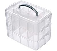 Rayher Boite de Rangement avec Poignée de Transport Boite de Rangement à 17 Compartiments, 23,1 x 15,6 x 18,5cm, Transparent, Grand