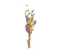 Rayher Bouquet de fleurs séchées naturelles, mauve, 1 bouquet, 18-20cm, arts créatifs, art floral, décoration, scrapbooking-85491308