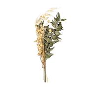 Rayher Bouquet de fleurs séchées naturelles, vert, 1 bouquet, 18-20cm, arts créatifs, art floral, décoration, scrapbooking-85491430