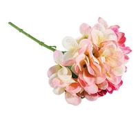 Hortensia, Rose Oeillet, 33cm