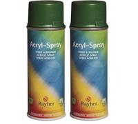 Rayher Hobby Spray peinture acrylique mat, vert sapin, 0,55 x 0,55 x 1,7 cm, 200 ml, DIN EN71-3, base aqueuse, séchage rapide, multiples surfaces, intérieur, extérieur, décoration, rénovation-34145444