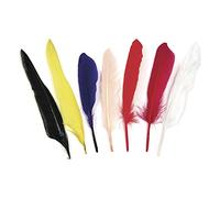 Rayher plumes sac indien en plastique multicolore 17 5 cm 75 pièces