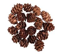 Rayher Set de mini Pommes de pin naturelles, brun, 18pces, 1,5-2cm, décorations diverses, automne, Noël-46722000