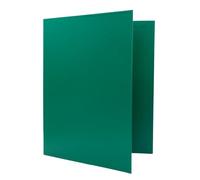 Raylu Paper - Classeur à 2 anneaux en D, classeur A4 avec anneaux pour ranger des documents, format A4 de 33,5 cm de haut x 26 cm de large (vert, dos 25 mm)