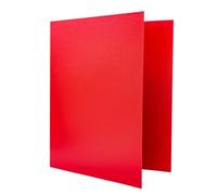 Raylu Paper Classeur à 2 anneaux en D, format A4, 33,5 x 26 cm (rouge, dos 25 mm)