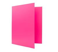 Raylu Paper - Classeur A4 avec 4 Anneaux en D de 25 mm, Classeur A4 Rigide pour le Rangement de Documents, Format A4 33,5 cm de Haut par 26 cm de Large et un Dos de 4 cm d'Épaisseur (Rose Pastel)