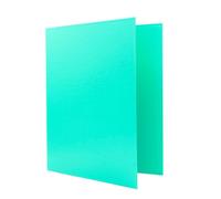 Raylu Paper - Classeur A4 avec 4 Anneaux en D de 25 mm, Classeur A4 Rigide pour le Rangement de Documents, Format A4 33,5 cm de Haut par 26 cm de Large et un Dos de 4 cm d'Épaisseur (Vert Pastel)