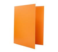 Raylu Paper - Classeur A4 avec 4 Anneaux en D de 25 mm, Classeur A4 Rigide pour le Rangement de Documents, Format A4 33,5 cm de Haut par 26 cm de Large et un Dos de 4 cm d'Épaisseur (Orange Pastel)