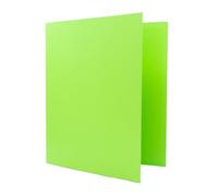 Raylu Paper - Classeur A4 avec 4 Anneaux en D de 25 mm, Classeur A4 Rigide pour le Rangement de Documents, Format A4 33,5 cm de Haut par 26 cm de Large et un Dos de 4 cm d'Épaisseur (Vert Clair)