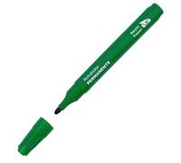 RAYLU PAPER Marqueur Permanent 2 mm, Feutre Indélébile Résistant à l’Eau, Séchage Rapide et Longue Durée pour Papier, Plastique, Métal et Textile(1, vert)