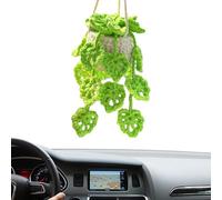 Raypontia Plante suspendue au crochet de 20 à 25 cm - Décoration de voiture - Plante au crochet - Miroir de voiture - Accessoire suspendu - Décoration crochetée - Bohème - Pendentif tricoté (B)