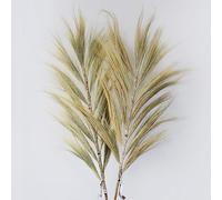 Rayung Herbe Blond - 2 m