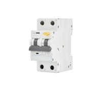 RCBO 2P B 25A 30mA Type AC SCHELINGER