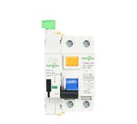 RCCB RCD 6KA AC 2P 230V Type dispositif à réenclenchement automatique disjoncteur différentiel 63A 30mA 100mA 300mA(63A)