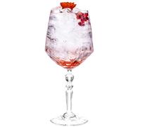 RCR Cristalleria Italiana S.p.a. Ligne Alkemist | Verres à Eau et Vin en Verre Verres Modernes Set de 6 Bicres en Cristal de 67 Cl