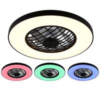 Reality Leuchten Fan LINKÖPING R64462102, noir mat, metal, RGB, 20W, 2700-6500K, 2500lm, télécommande incluse, dimmable, Lumière de nuit