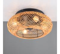 Reality Leuchten Lillesand Plafonnier avec ventilateur, E27, R67302126,