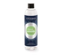 Recharge bouquet thé blanc & ylang-ylang