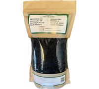 Recharge de granules de charbon actif pourMinska
