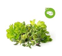 Click & Grow Click & Grow Plant Pod Steak Mix 9pcs