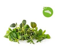 Click & Grow Click & Grow Plant Pod Calming Tea Mix 9pcs