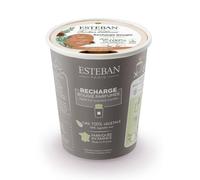 Recharge pour bougie 180g cèdre sauvage