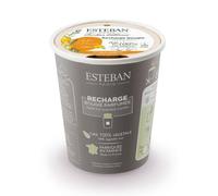 Recharge pour bougie ambre & baumes
