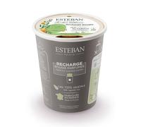 Recharge pour bougie orange et thé vert