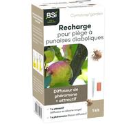 Recharge pour piège punaises diaboliques - BSI - 1 recharge - Phéromone attractif - Compatible Cymatrap