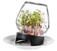 Récipient de germination - Conteneur pour les germes en plastique - 510 ml - Couvercle à tamis pour le rinçage - Idéal pour la culture de graines de radis - 1 pièce