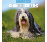 Red Robin Calendrier mural mensuel 2027 Barbu Collies 30,5 x 30,5 cm | Calendrier de 12 mois à suspendre, papier épais et robuste de qualité supérieure, notes lignées et zone de tâches