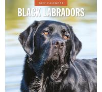 Red Robin Calendrier mural mensuel 2027 labradors noirs | 30,5 x 30,5 cm | Calendrier de 12 mois à suspendre, papier épais et robuste de qualité supérieure, notes lignées et zone de tâches