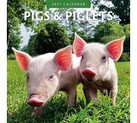 Red Robin Calendrier mural mensuel 2027 Motif cochons et porcelets 30,5 x | Calendrier de 12 mois à suspendre, papier épais et robuste de qualité supérieure, notes lignées et zone de tâches