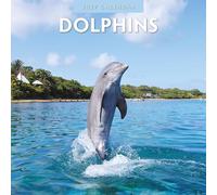 Red Robin Calendrier mural mensuel 2027 Motif dauphins 30,5 x 30,5 cm | Calendrier de 12 mois à suspendre, papier épais et robuste de qualité supérieure, notes lignées et zone de tâches