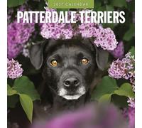 Red Robin Calendrier mural mensuel 2027 Patterdale Terriers | 30,5 x 30,5 | Calendrier de 12 mois à suspendre, papier épais et robuste de qualité supérieure, notes lignées et zone de tâches
