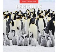 Red Robin Calendrier mural mensuel 2027 Pingouins 30,5 x 30,5 cm | Calendrier de 12 mois à suspendre, papier épais et robuste de qualité supérieure, notes lignées et zone de tâches
