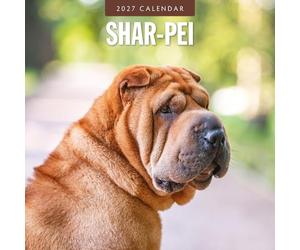 Red Robin Shar-Pei Calendrier mural mensuel 2027 30,5 x 30,5 cm | Calendrier de 12 mois à suspendre, papier épais et robuste de qualité supérieure, notes lignées et zone de tâches